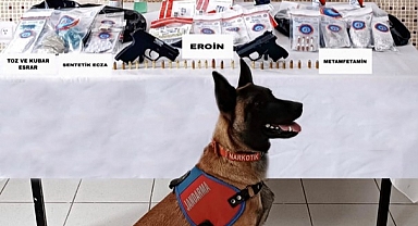 Ordu'da yapılan uyuşturucu operasyonunda 2 şüpheli yakalandı