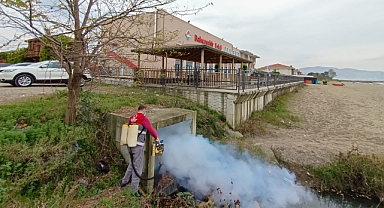 Vektörle mücadeleye Kış mevsimi önemli
