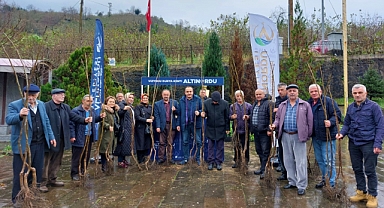 Altınordu'da 300 bin fidan dikildi