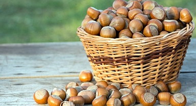 Fındık fiyatları ne kadar oldu? İşte 28 Aralık Çarşamba il il fındık fiyatları