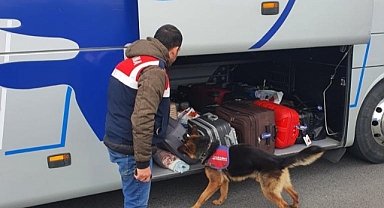 Düzensiz Göç ile Mücadele Operasyonu