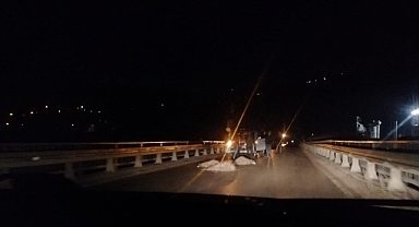 Ordu'da koyun sürüsüne otomobil çarptı