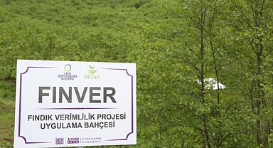 ORTAR fındık bahçelerini sigortalattı