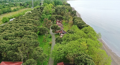 Çınar suyu depremzedelere yuva oluyor