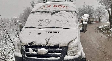 Ordu'da kar yağışı etkili oluyor