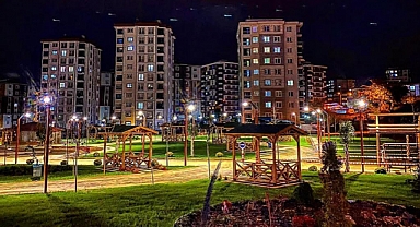 Ordu'da yeşil seferberliği