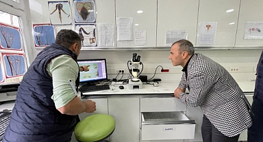 Bombus Arısı ile seralarda verim artıyor
