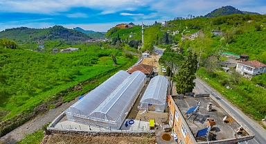 Genç Fidanlar ve Seracılık Projeleri Ünye'de sona geliyor