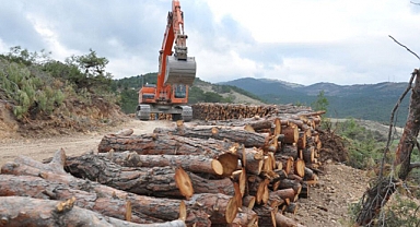 Korgan'da rüşvet operasyonu