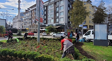 Ordu'da yeşil seferberlik