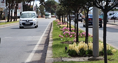 Ordu rengarenk çiçeklerle süsleniyor