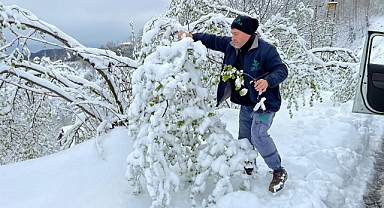 ORTAR A.Ş. fındık hasar tespiti için sahada