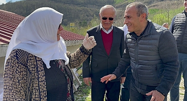 Vali Sonel, Örnek fındık bahçesinde inceleme yaptı