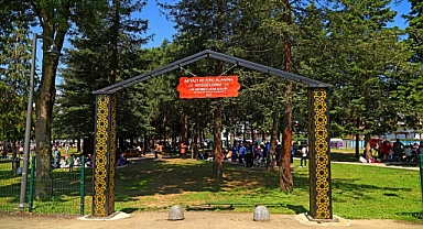 Akyazı Mesire alanına yoğun ilgi 