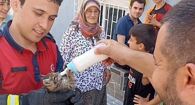 İtfaiye ekipleri yavru kedi ve baykuşlar için seferber oldu