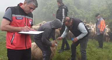 Vali Babadan sürülerine ayı saldıran 7 aileye destek