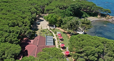 Çamlık vatandaşların gözdesi oldu