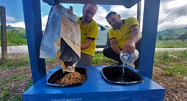 Sadece bir kap su bir kap mama !