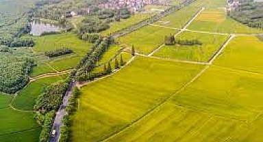 Arsa ve tarla satışlarındaki rekor fiyatlara yansıdı