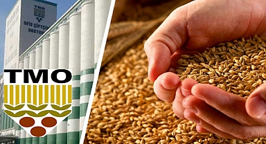 Fındık alım şartları açıklandı