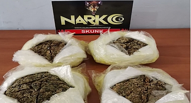 Ordu’da bir haftada 9 narkotik operasyonu: 3 kişi tutuklandı