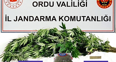 Ordu'da uyuşturucu operasyonu! 5 şüpheli yakalandı