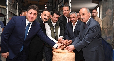 TMO Fındık alımına başladı 