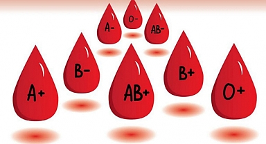 Hangi kan grupları birbirine kan verir