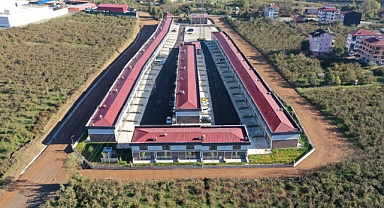 Altınordu Oto Galericiler Sitesi açılıyor