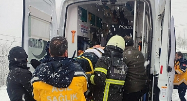 Kamyonet fındık bahçesine devrildi: İki yaralı