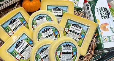 Aybastı Peyniri Nişantaşı ve Bakırköy'de Başarılı!