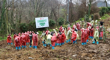 Ormancılık Günü Münasebetiyle Fidan Dikimi Yapıldı