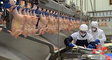 Beyaz et sektörü sürdürülebilir üretime devam edecek