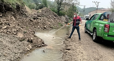 Sivrisineksiz bir yaz