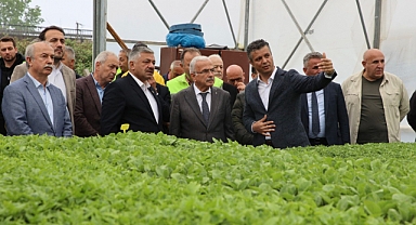 OBB'den üreticiye 4 miyon tl değerinde fide dağıtılacak