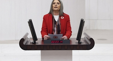 Milletvekili Suiçmez; Fındık taban Fiyatı 160 - 180 TL olmalı