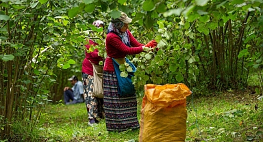 Ordu'nun parası Ordu'da kalıyor