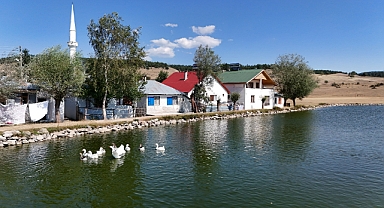 Ordu'da 12 ay doğa tutkusu: Ulugöl Yaylası ziyaretçilerini bekliyor