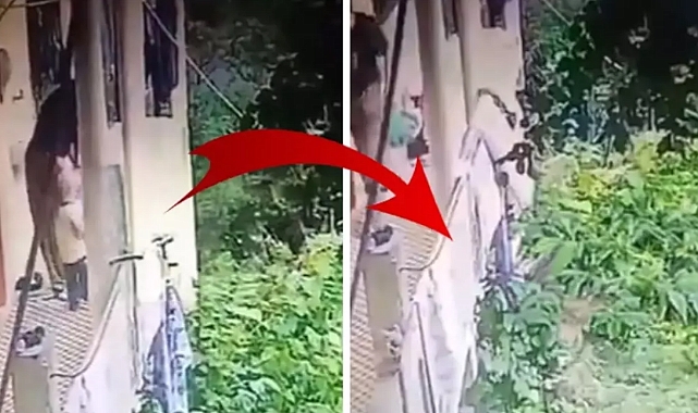 Ordu'da Babaanne dehşeti: Üvey Babaanne tutuklandı