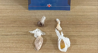 Ordu’da Uyuşturucu Operasyonları: 1 tutuklama, çok sayıda adli işlem