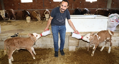 Şehir hayatını bıraktı, Köyde hayvancılıkla başarı hikayesi yazdı