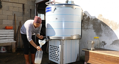 Ordu'da süt üreticisine büyükşehir desteği: Kalite ve kazanç artıyor!