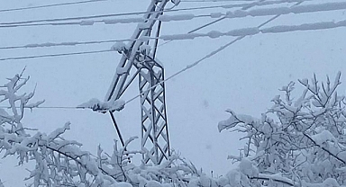 Ordu'da kar yağışı hayatı felç etti: Okullar tatil, yollar kapalı!