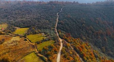Ordu ve Giresun Yaylaları birleşiyor