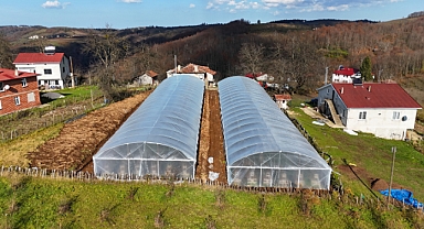 Büyükşehir ile çilek üretimi 4 mevsime yayıldı