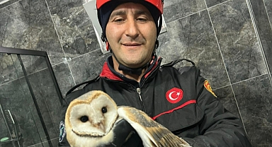 İtfaiye Ekiplerinden Baykuş kurtarma operasyonu