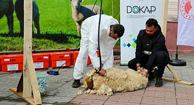 Koyun Yetiştiricilerine Şaftlı Kırkım Makinesi Dağıtımı Yapıldı