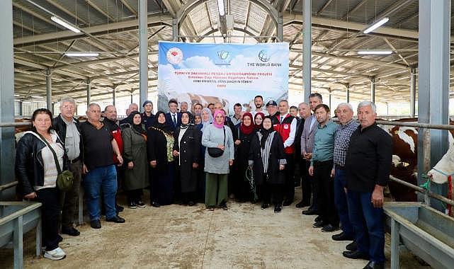 Ordu'ya tarımsal destek yağdı! 66 gebe düve sahiplerini buldu