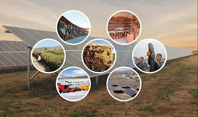 TKDK'den Ordu'ya 98 Milyon TL'yi Aşan Hibe Desteği